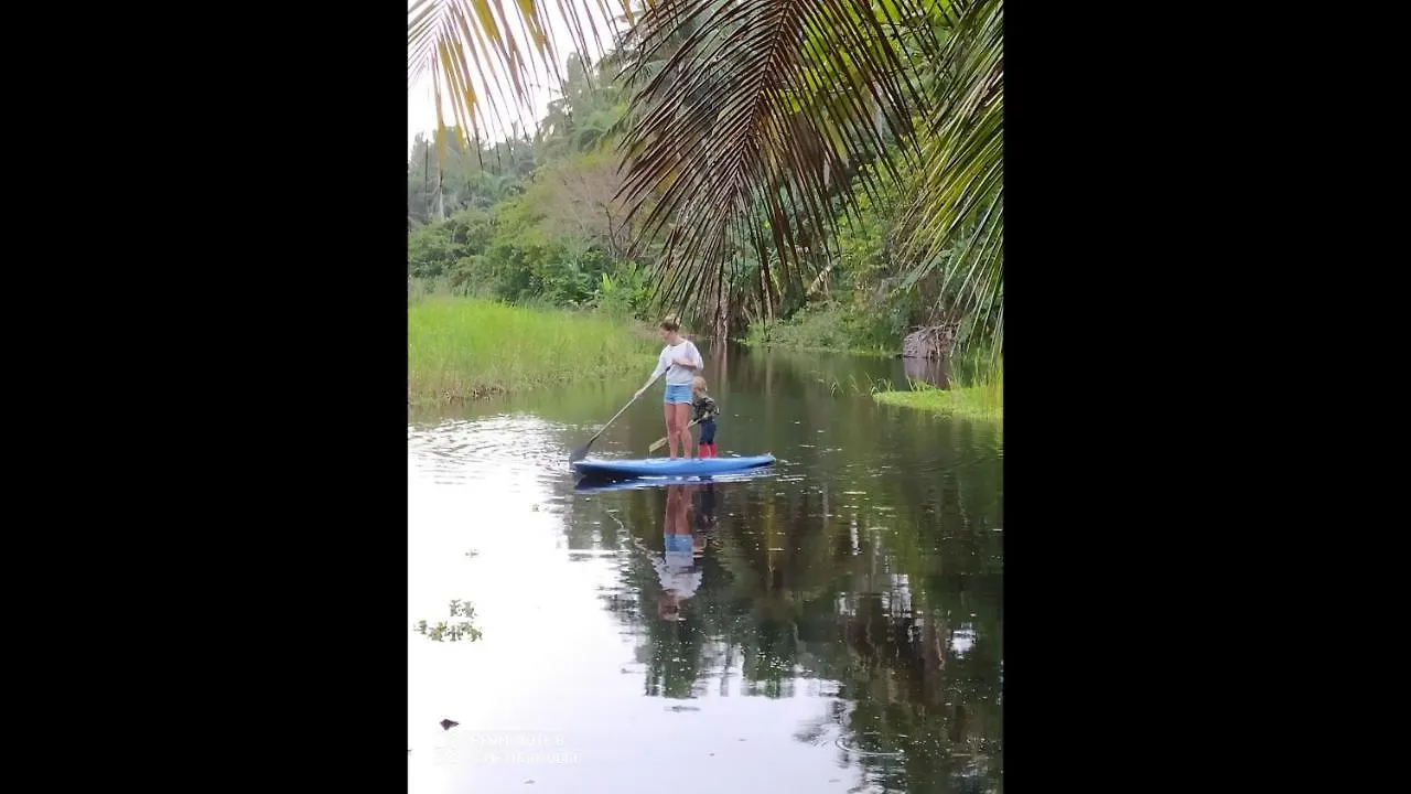 Room In Lodge - Method Living Tropical Edition Cabarete